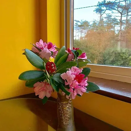 Bed & Breakfast Victoria's House 3*