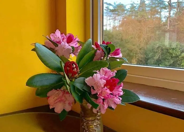 住宿加早餐酒店 Victoria's House 3*